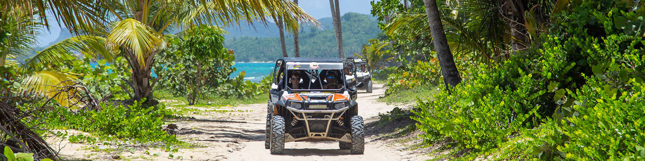 Buggy tour in the jungle and on the beach