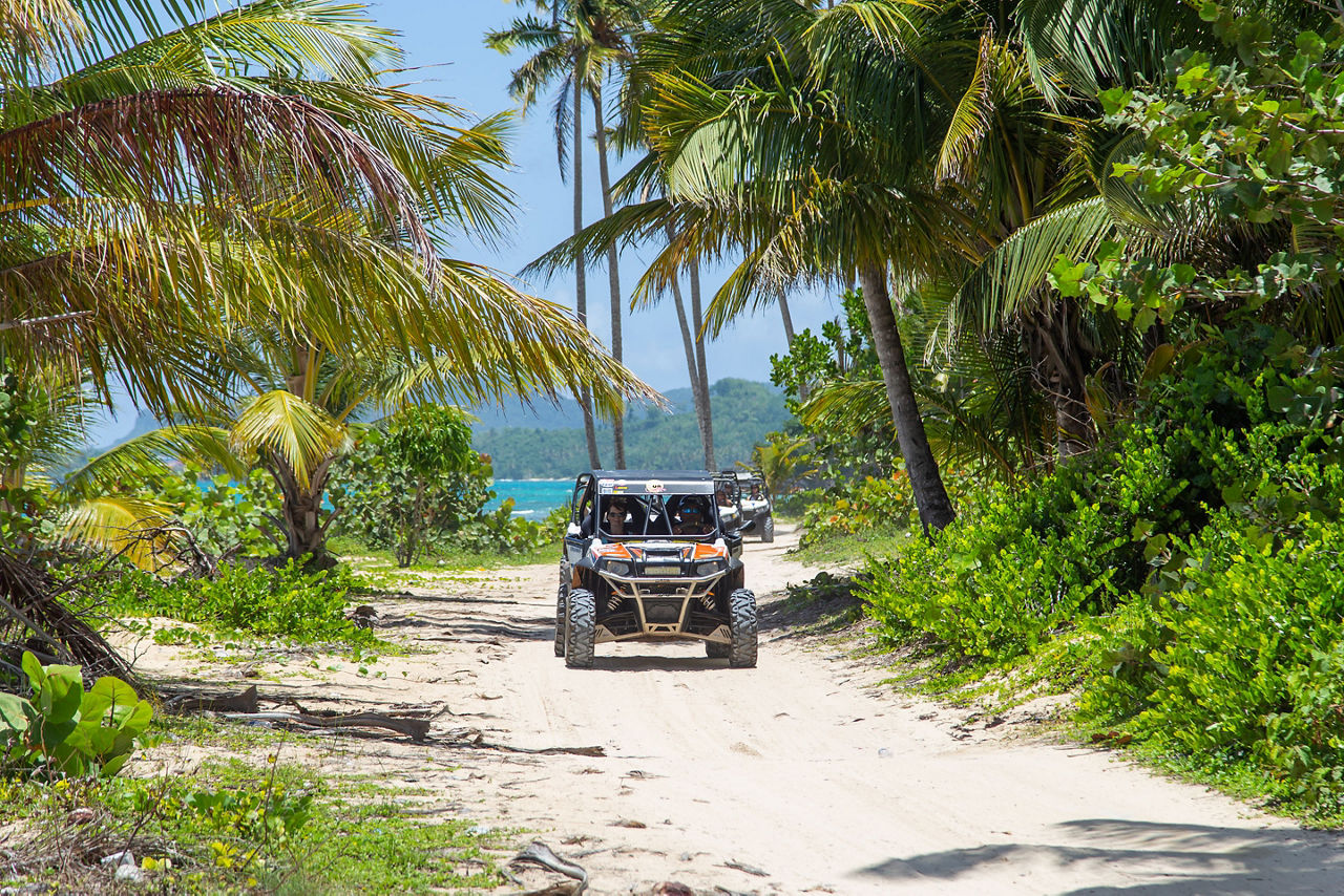 Buggy tour in the jungle and on the beach. 