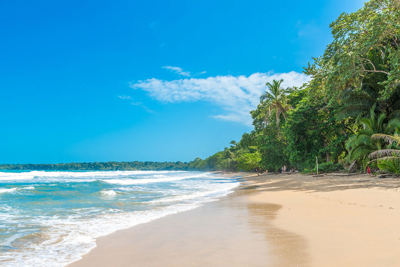 Cahuita National Park 