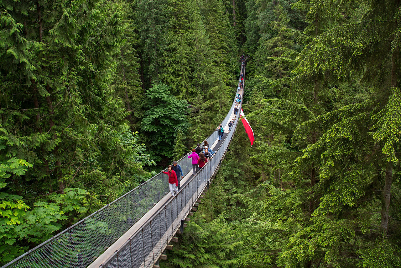 Capilano suspension bridge park, Vancouver, Canada