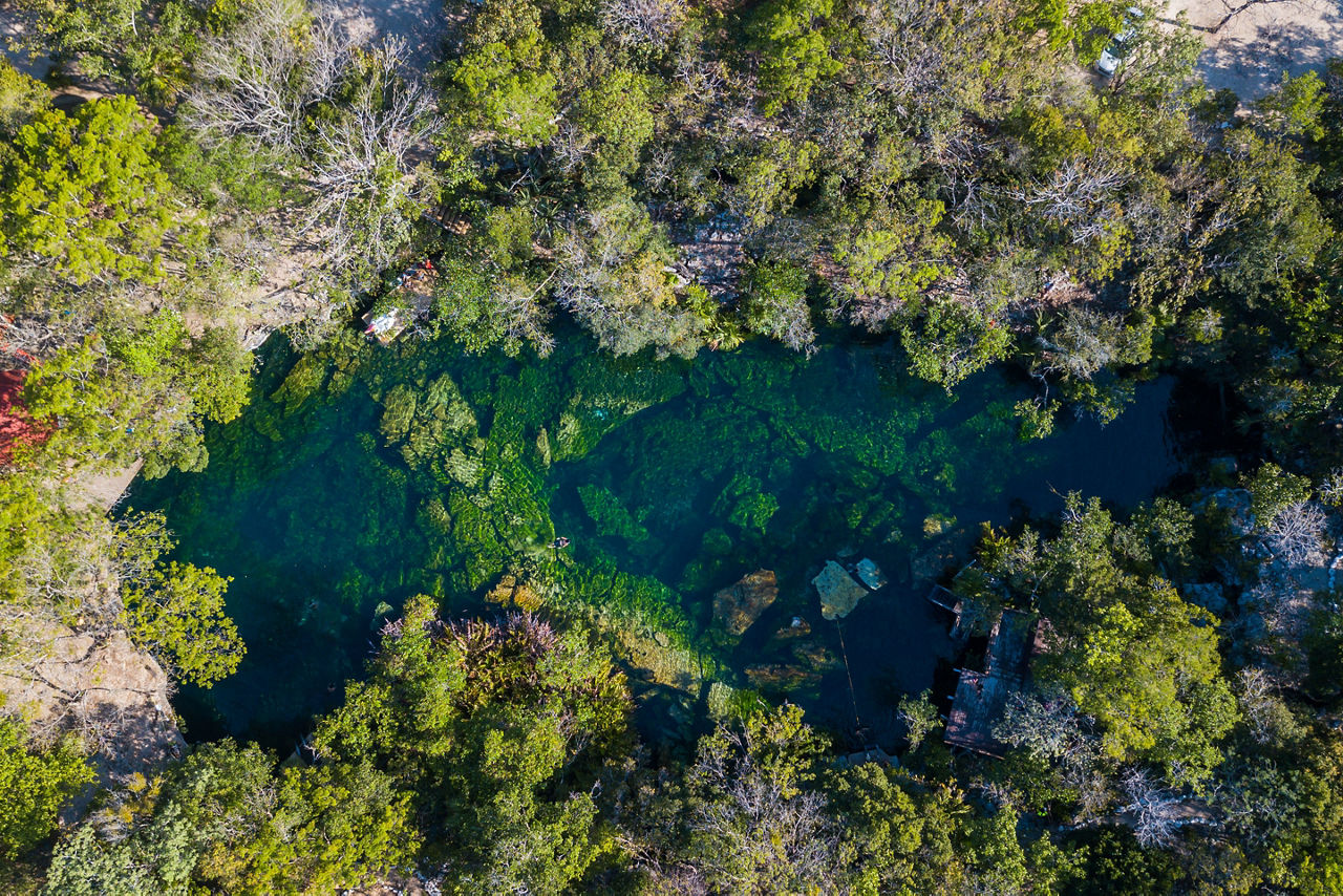 Cenote Jardin del Eden Cenotes. Aerial view. Quintana Roo, Yucatan, Mexico 