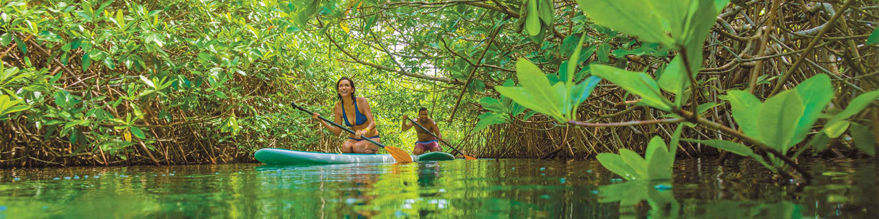 Paddle Boarding, Cozumel, Mexico
