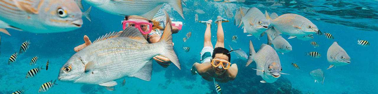Shore Excursions, Cozumel, Mexico