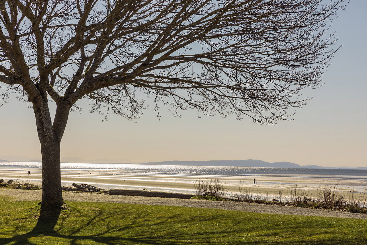 Crescent Beach Trail, Surrey, BC, Canada.