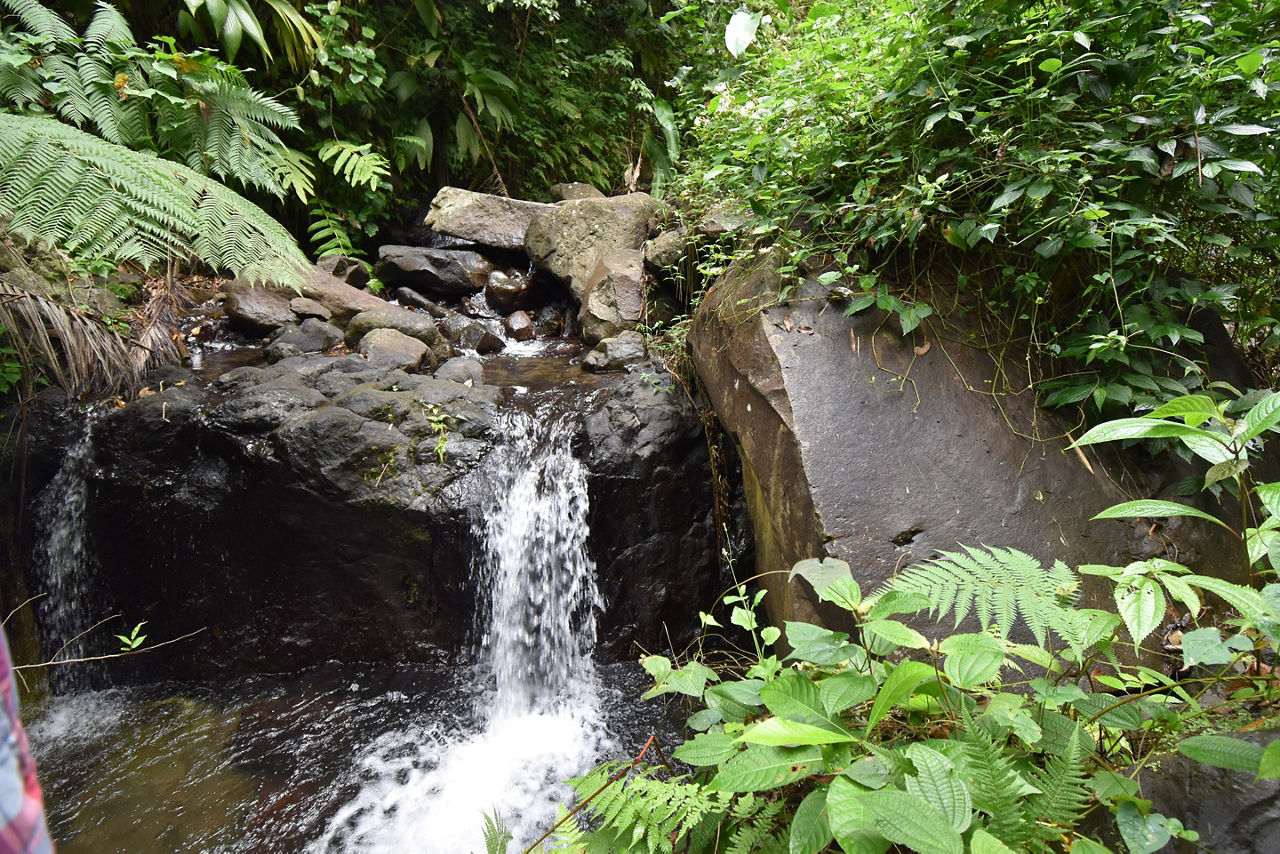 Dark View Falls in St. Vincent and the Grenadines. 