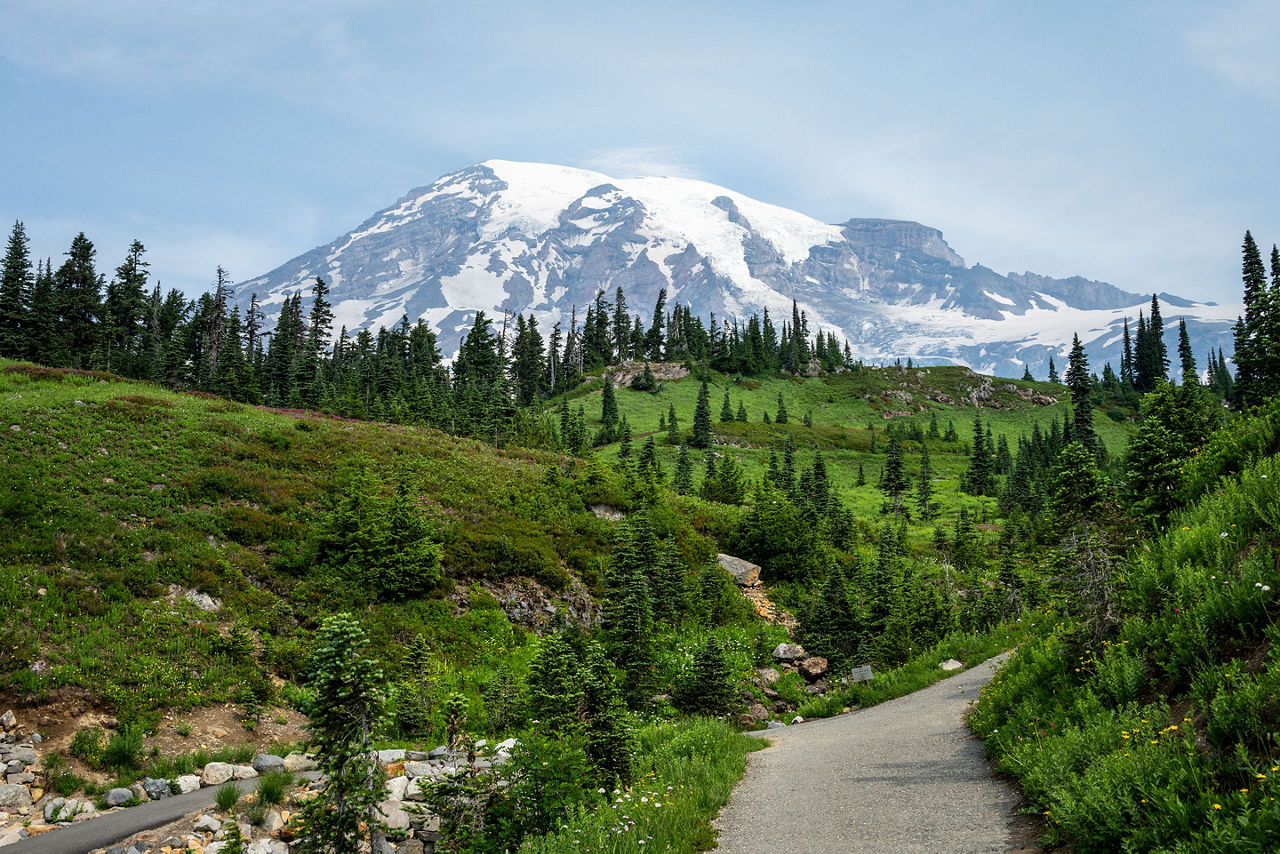 Dead Horse Creek Trail with Mt. Rainier in background,