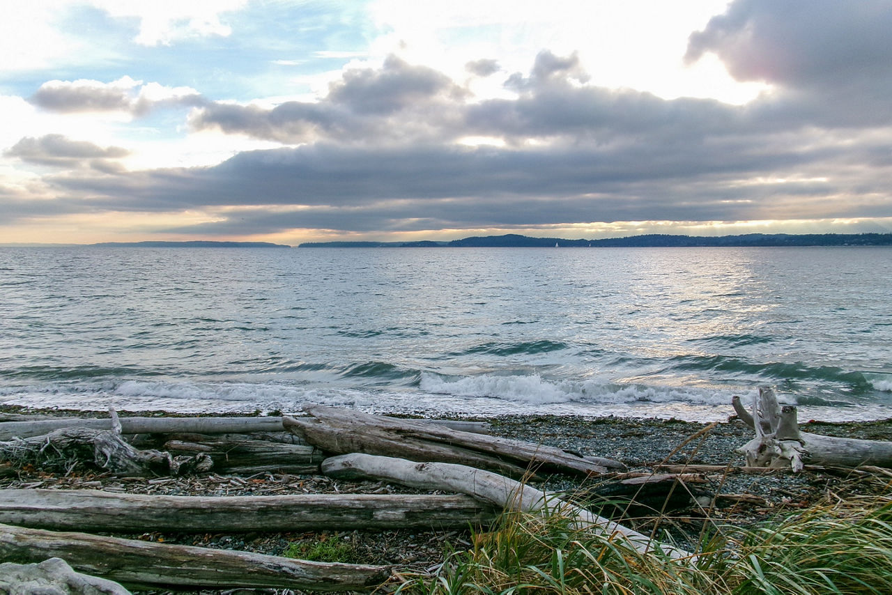 Discovery Park is park on the shores of Puget Sound 