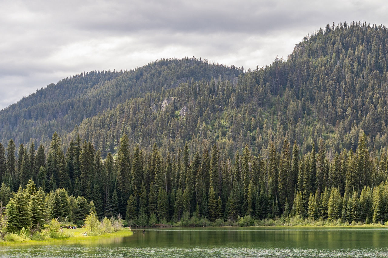 E.C. Manning Park British Columbia Canada