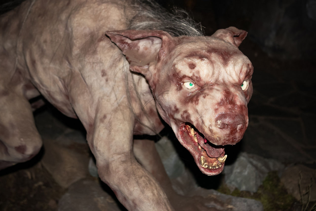 El Chupacabra Sculpture