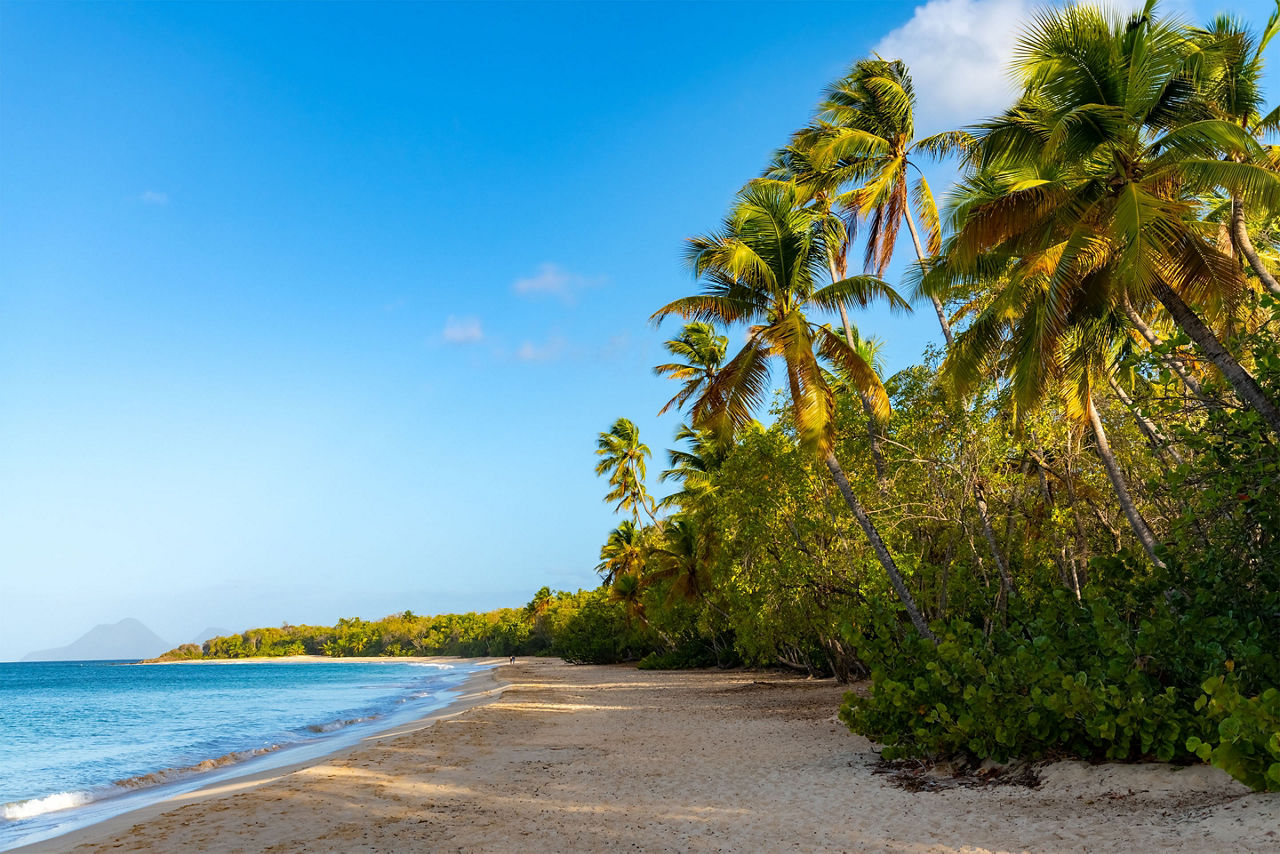 Grand Anse des Salines, beach in Martinique