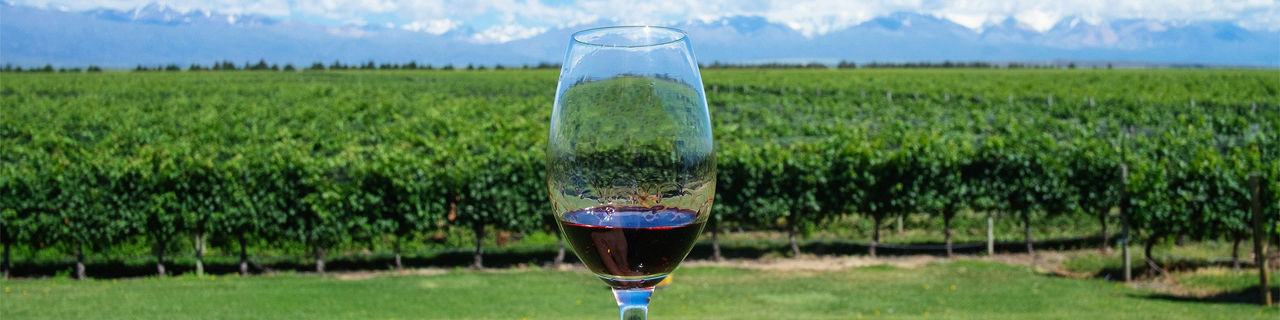 Hand holding glass of wine with Andes and Winery in Argentina.