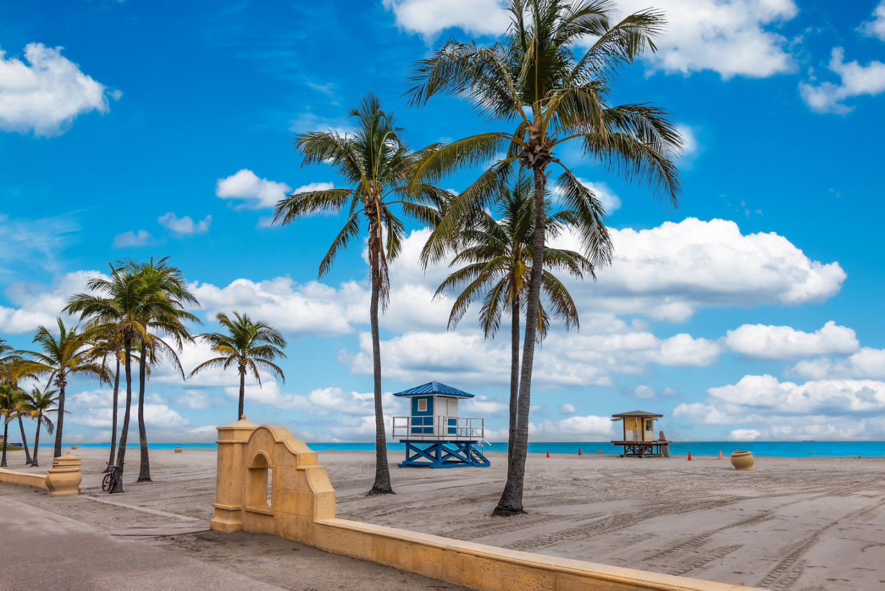 Hollywood Beach with tropical coconut palm trees and boardwalk in Florida