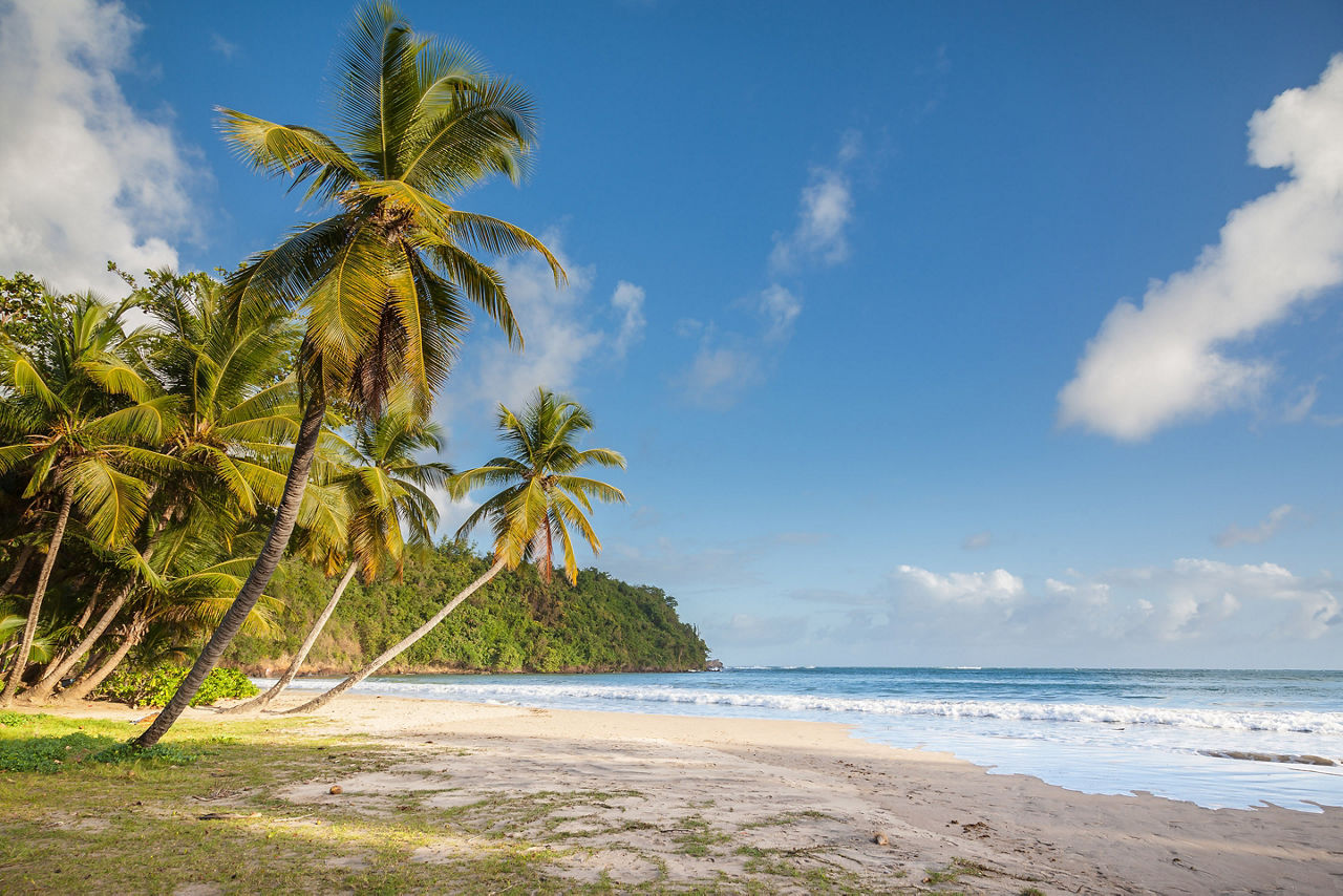 The Stunning Beach Of La Sagesse On The Island Of Grenada
