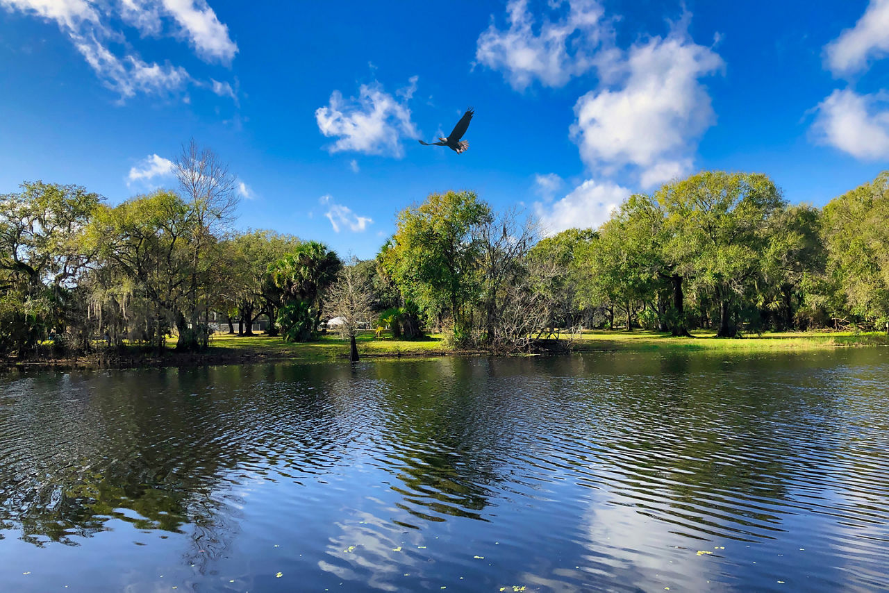 Lettuce lake park Tampa FL USA