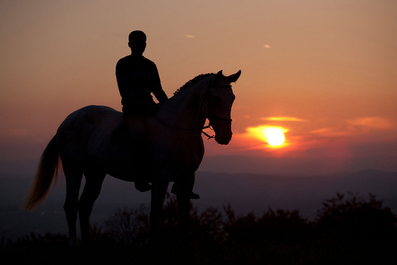 El Charro Negro Silhhoutte