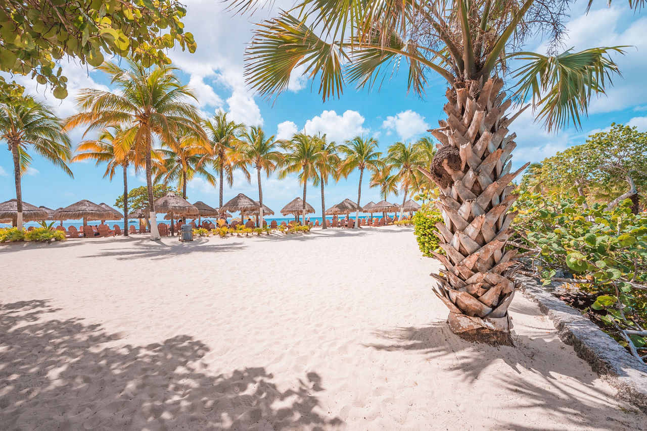Paradise beach in the Caribbean Ocean