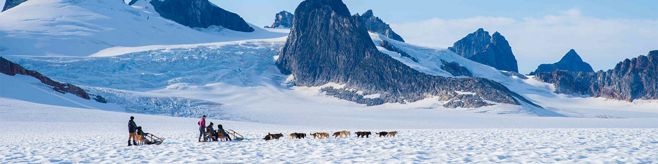 People dog sledding at Juneau, Alaska