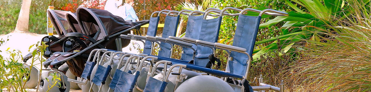 Perfect Day Coco Cay Wheelchair Accessibility 