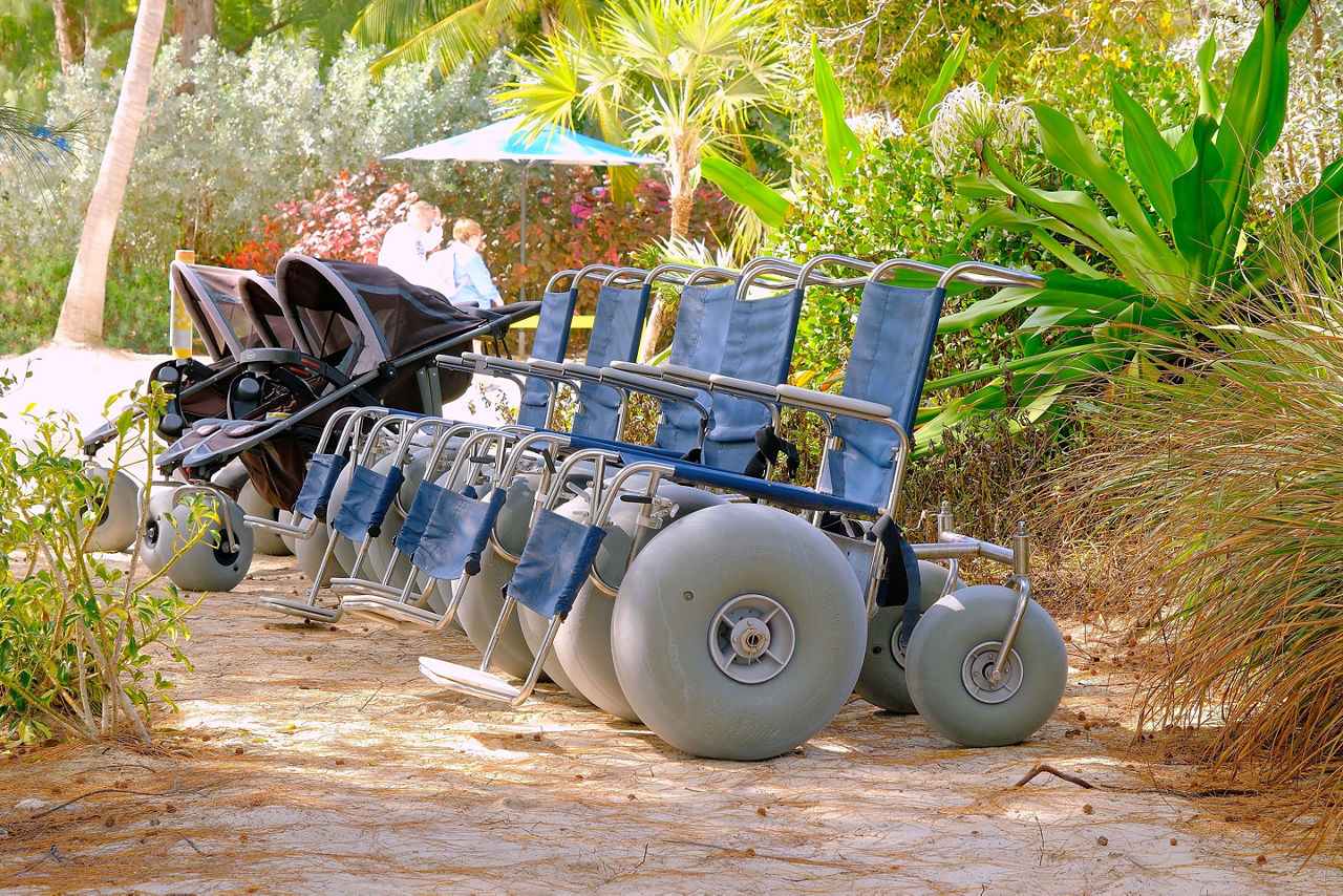 Perfect Day Coco Cay Wheelchair Accessibility 