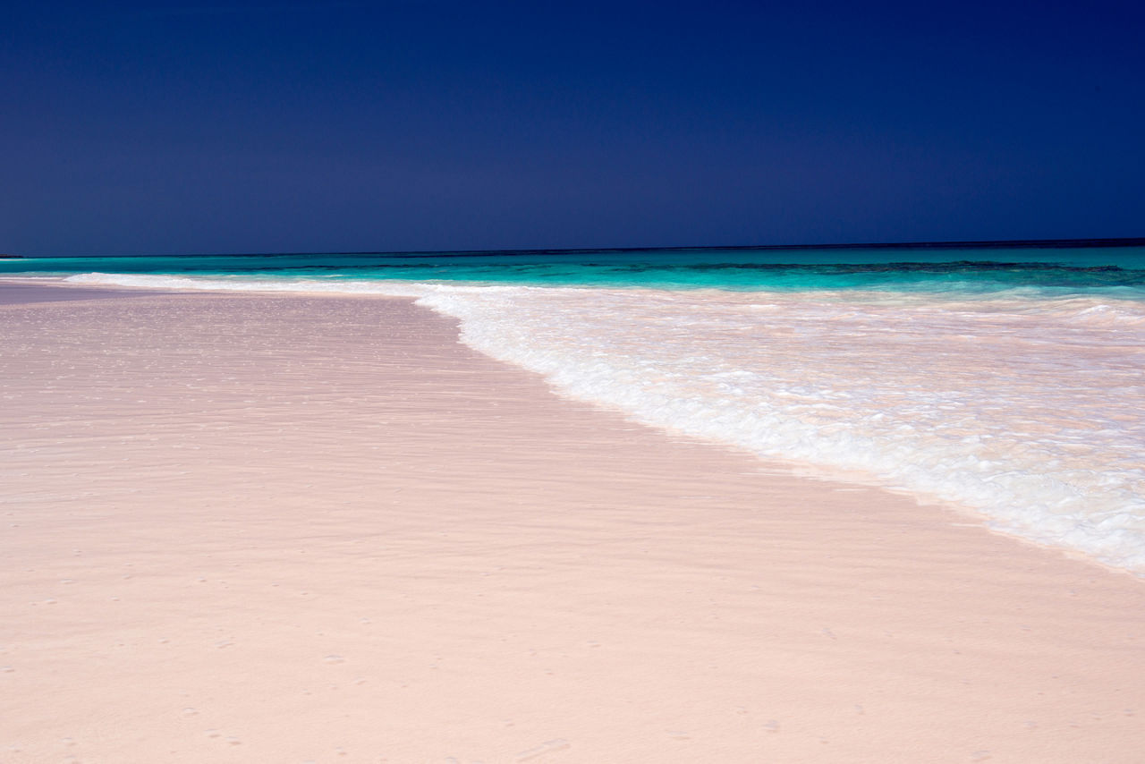 Pink sand beach Bahamas