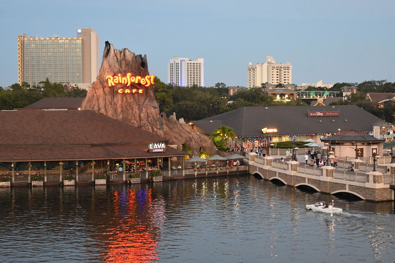Rainforest Cafe at Disney Springs