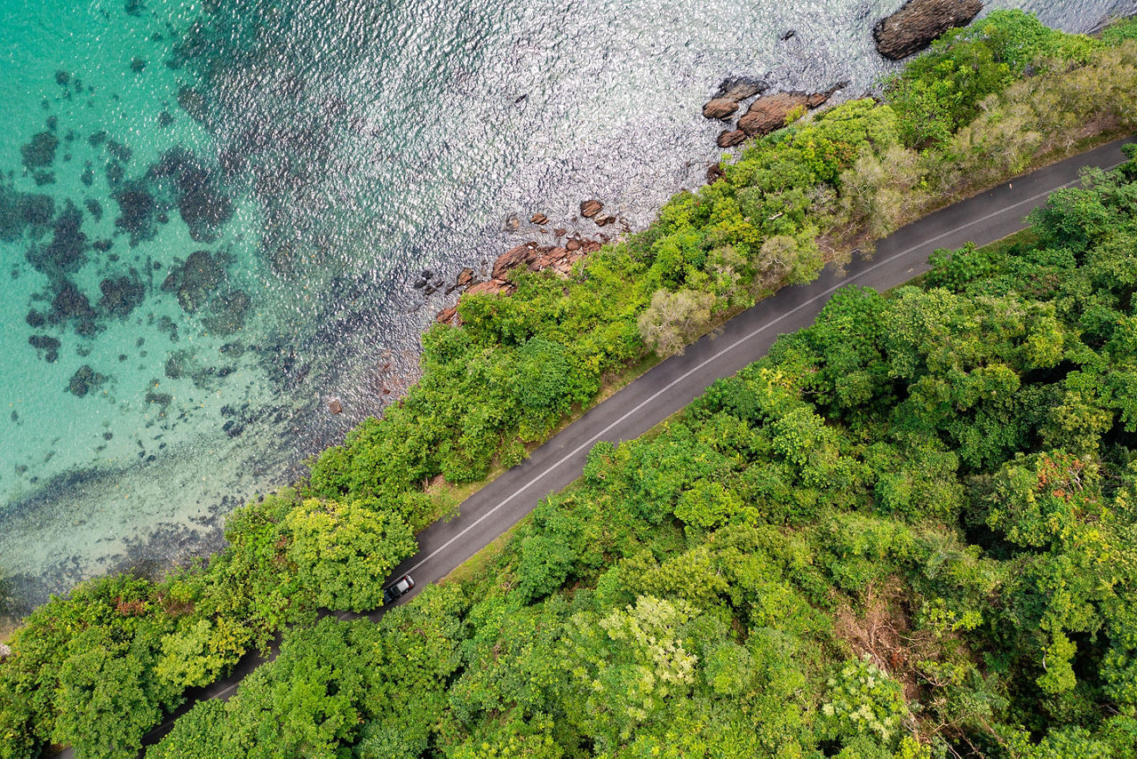 Rainforest meets the reef in the tropical Daintree National Park, Queensland, Australia