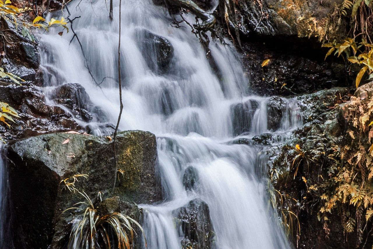 Roselle Falls Jamaica