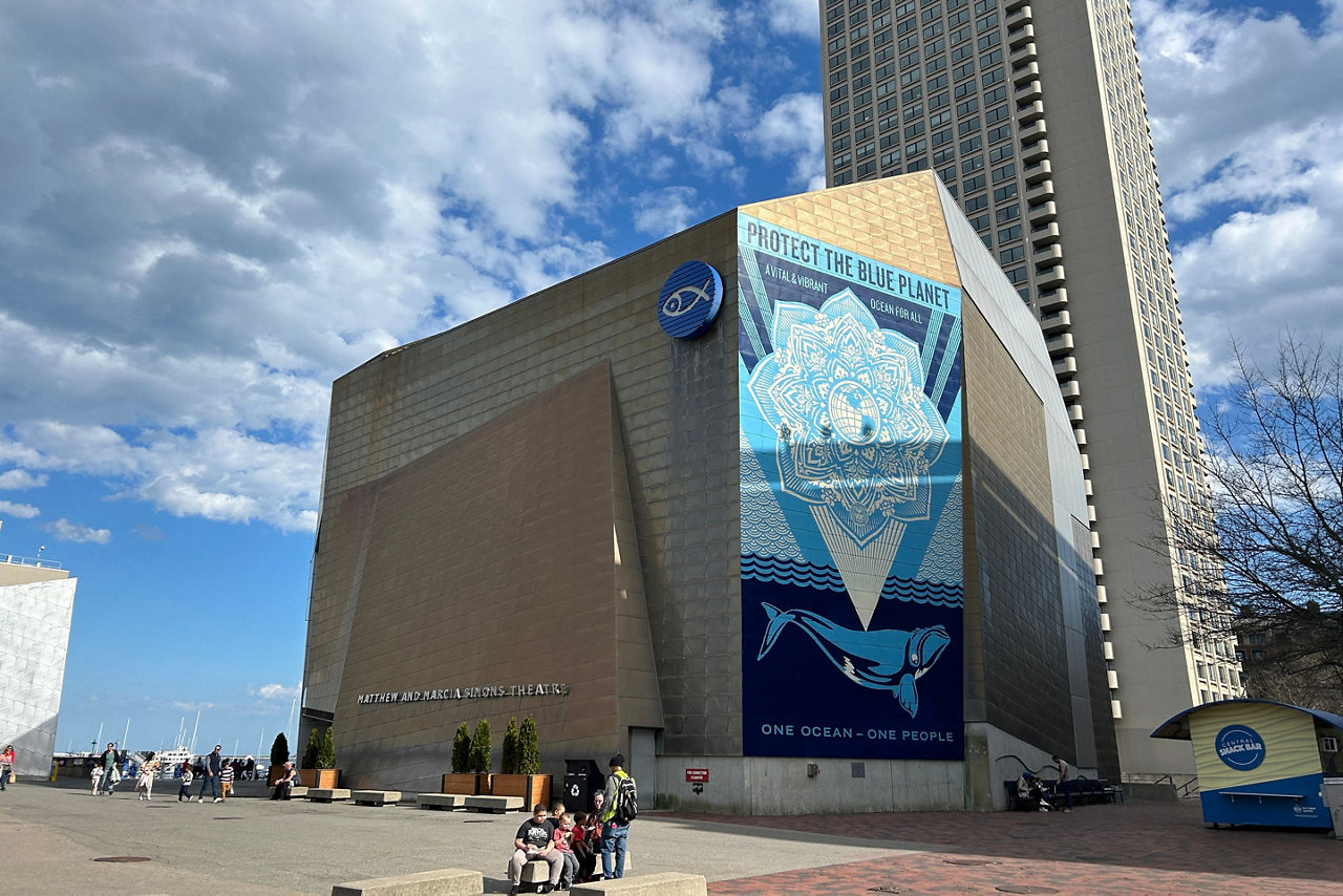 Sea Life at the Aquarium, Boston, MA