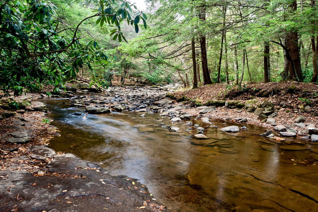 Swallow Falls State Park in the fall in the mountains of Maryland