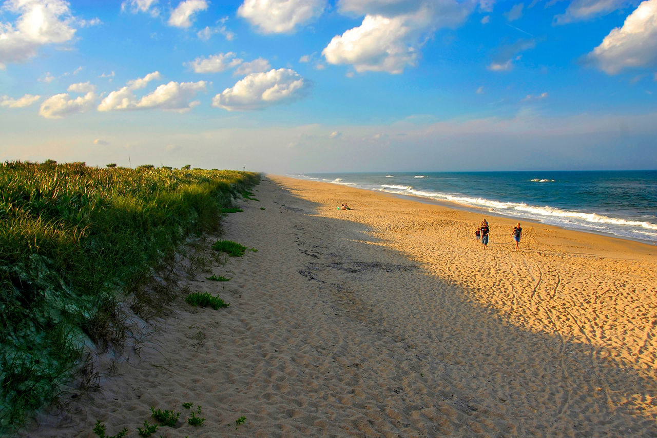 The National Park Service Cape Canaveral National Seashore near Daytona Beach on the Atlantic Ocean in Florida. 