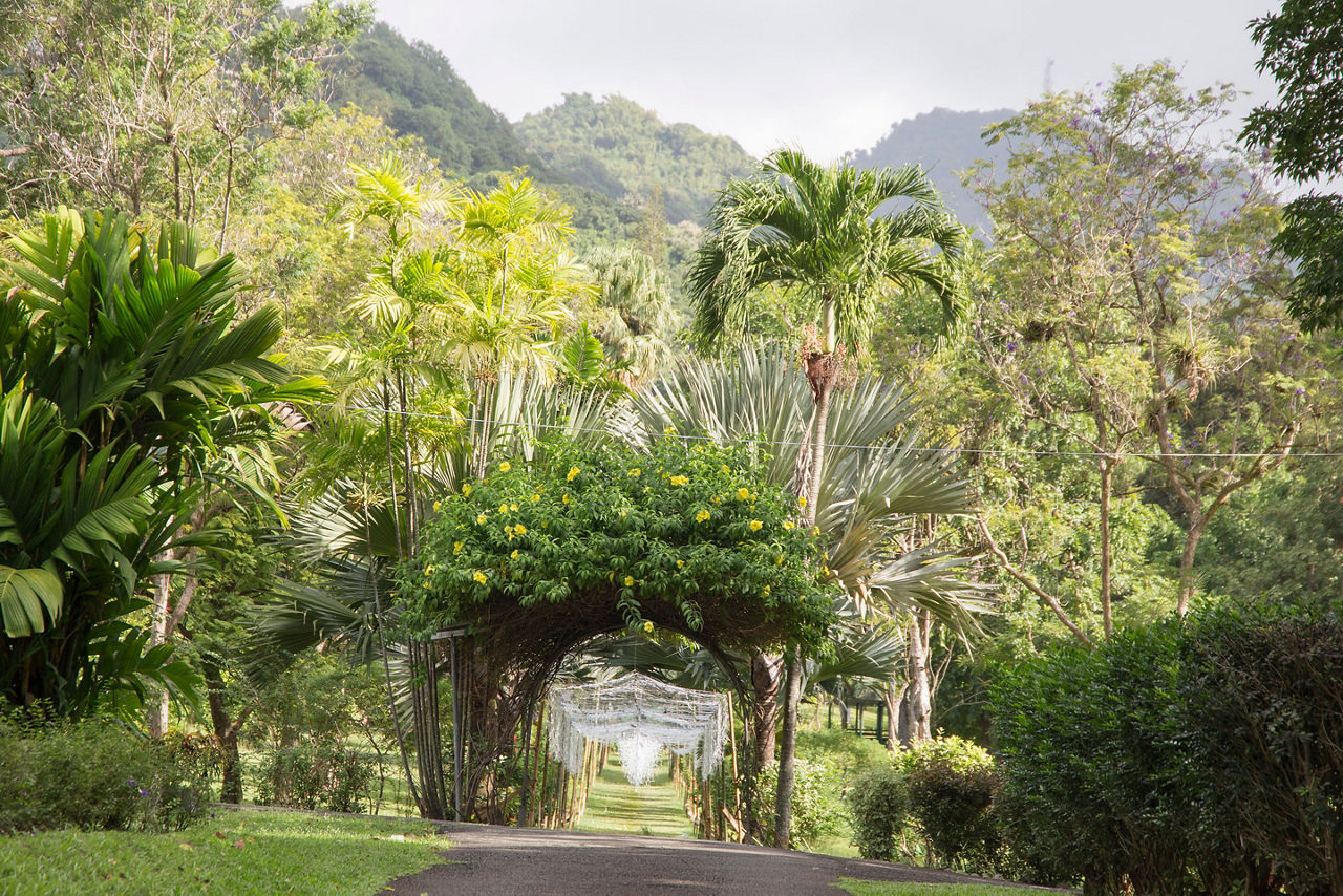 The St Vincent and the Grenadines Botanic Gardens is located in Kingstown