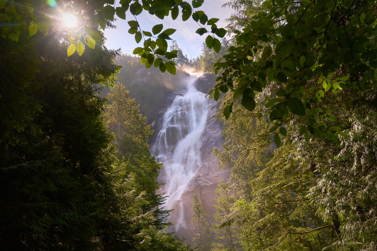 Thundering Shannon Falls and the sun bursting through the trees. 