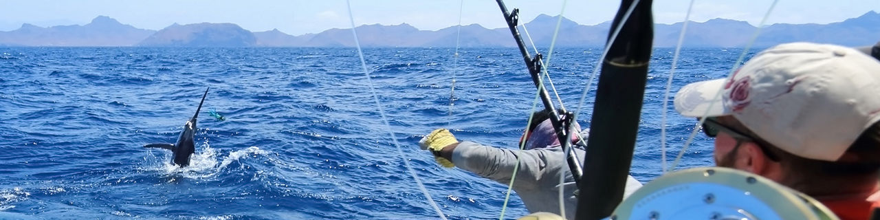 travelers big game fishing trip galveston texas 1920 480