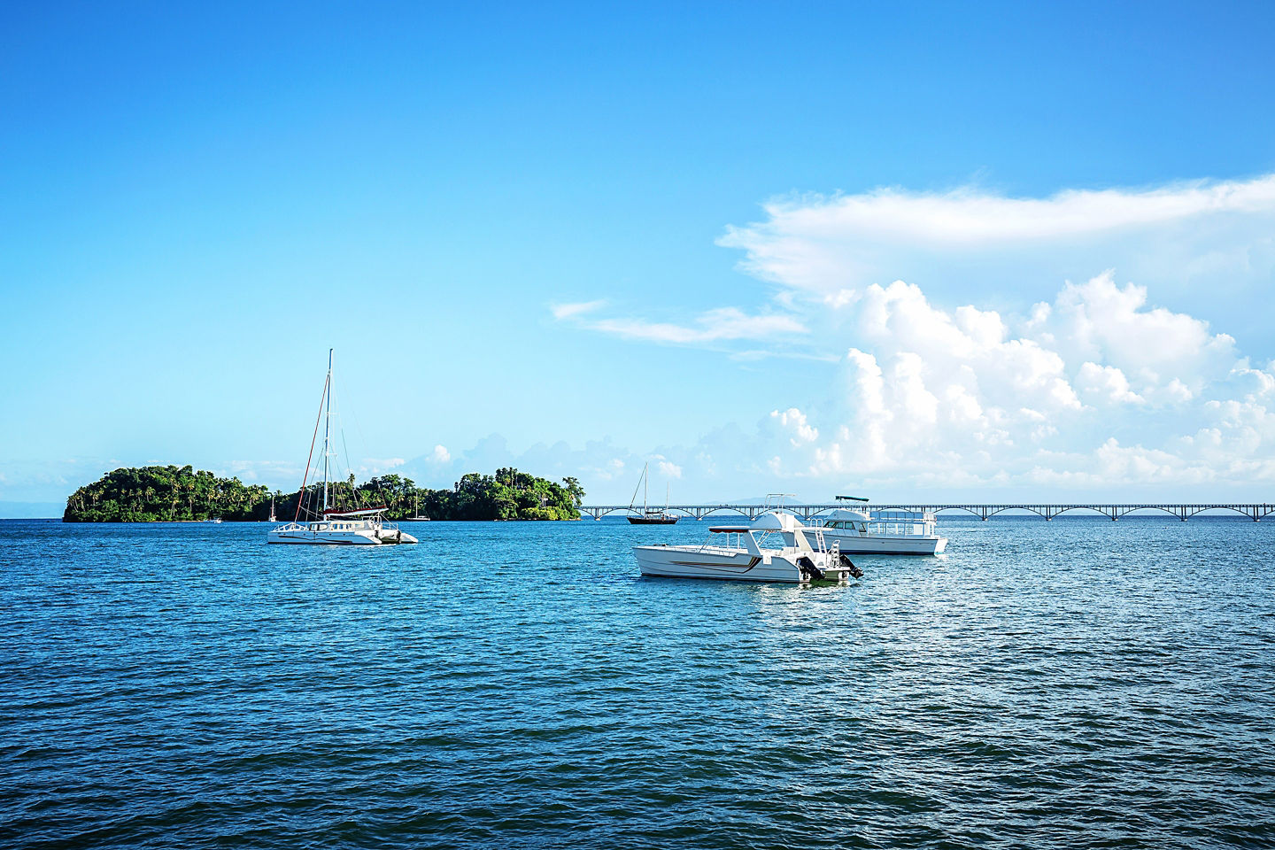 Boat and catamaran tours explore Samaná’s coast, snorkeling coves, beaches, and seasonal whale sightings. - Samaná, Dominican Republic