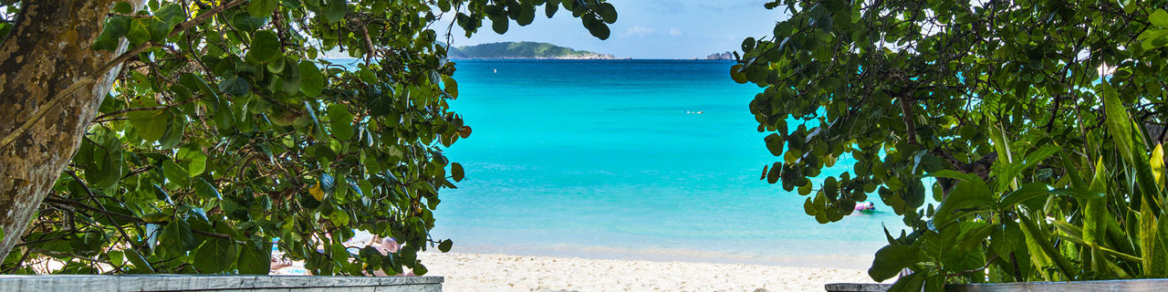 Virgin Islands Trunk Bay St. John's Beach