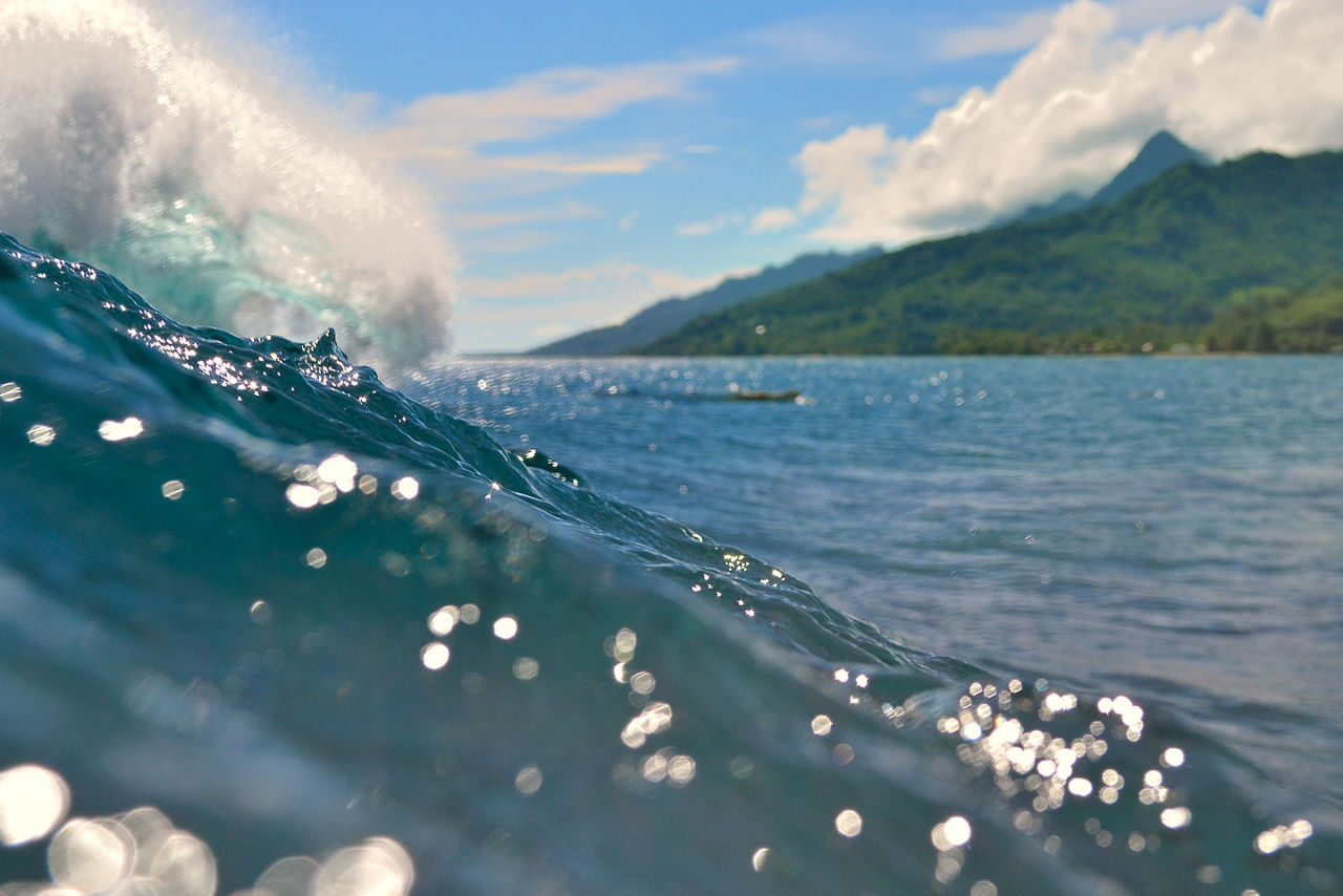 Wave and surf at moorea in French Polynesia, Tahiti