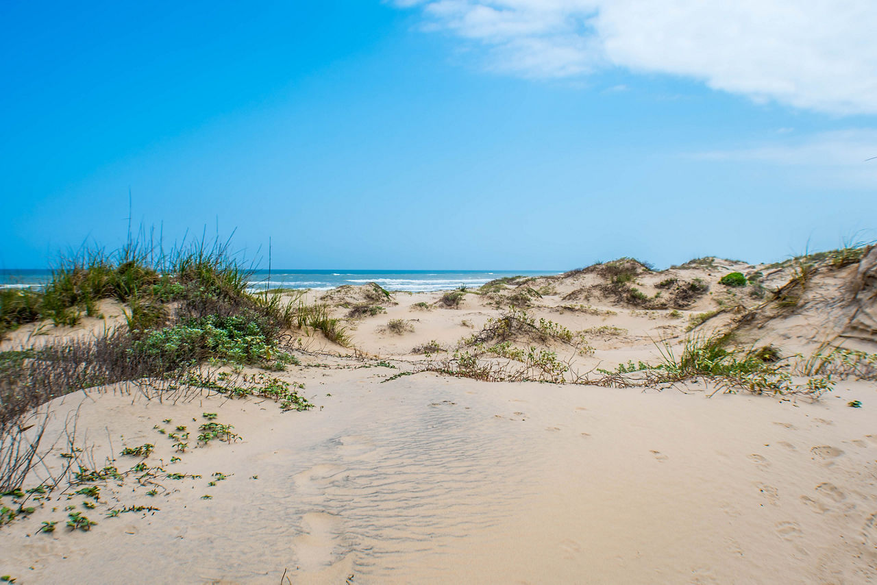 Whitecap Beach, South Padre Island, Texas