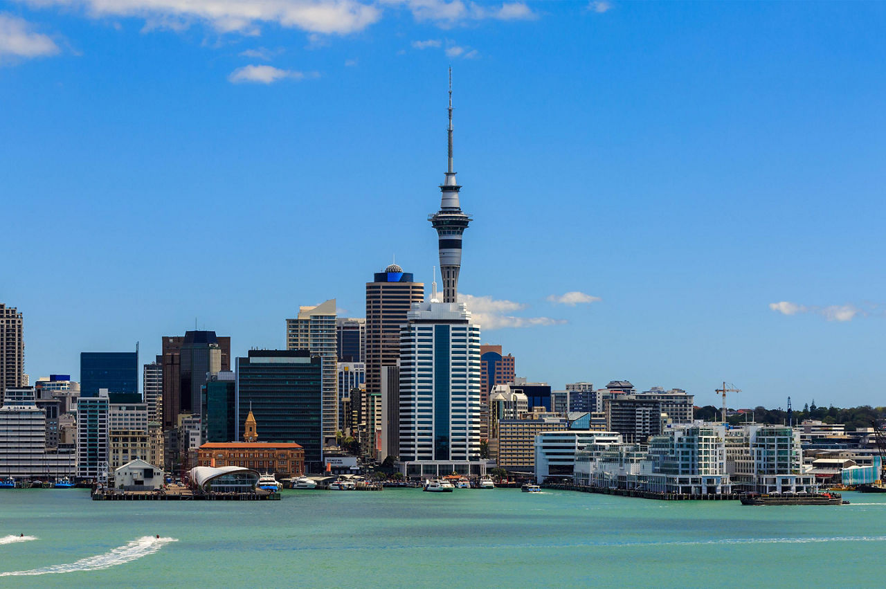 New Zealand City Landscape