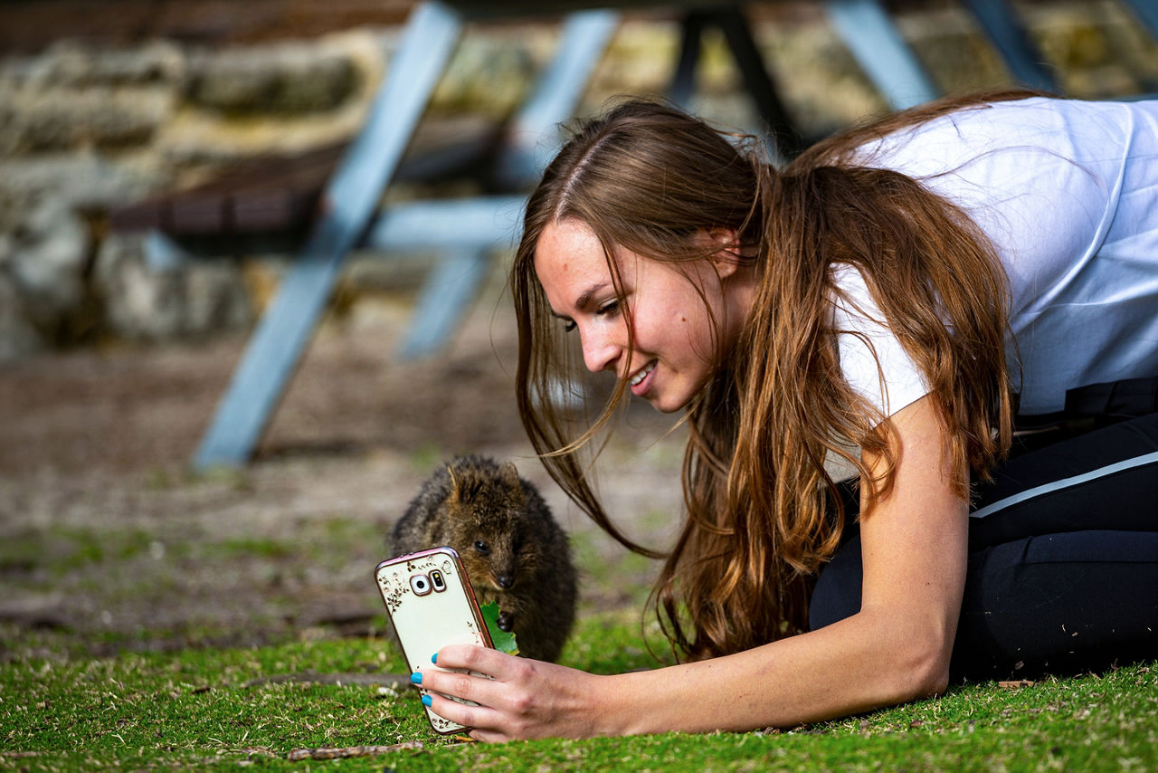 irl poses for photo with quokka on rottenst island in western australia
