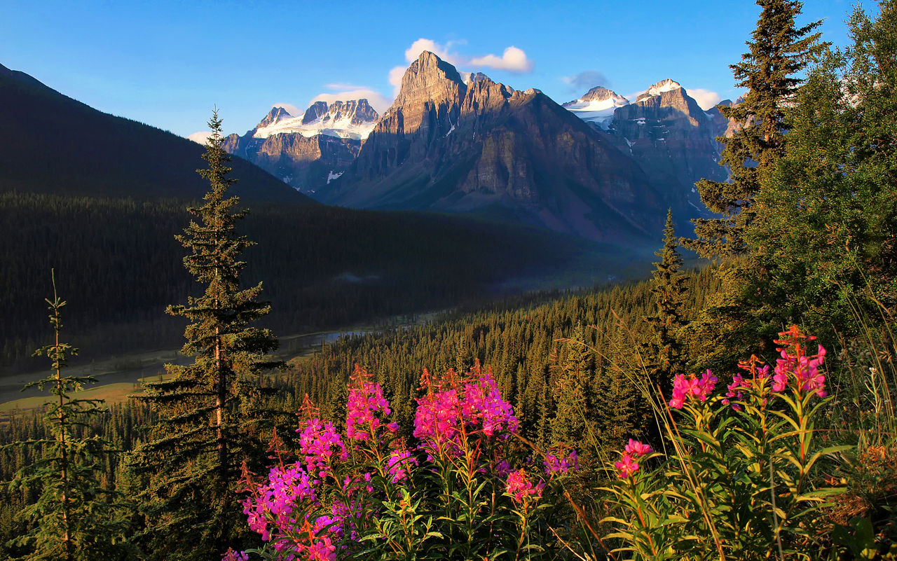 Scenic wilderness in Banff National Park, Alberta, Canada