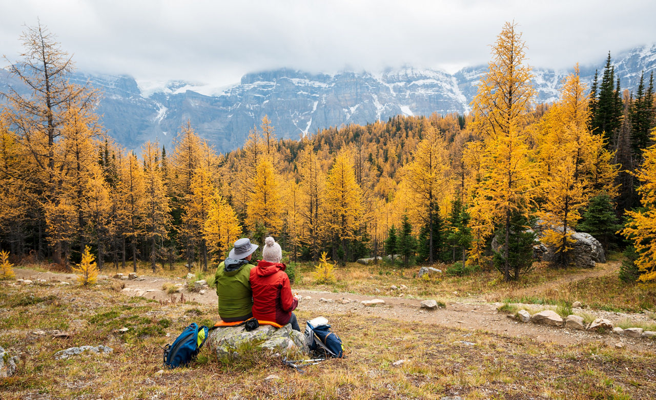 Tourists hiking in Larch Valley. Banff National Park,