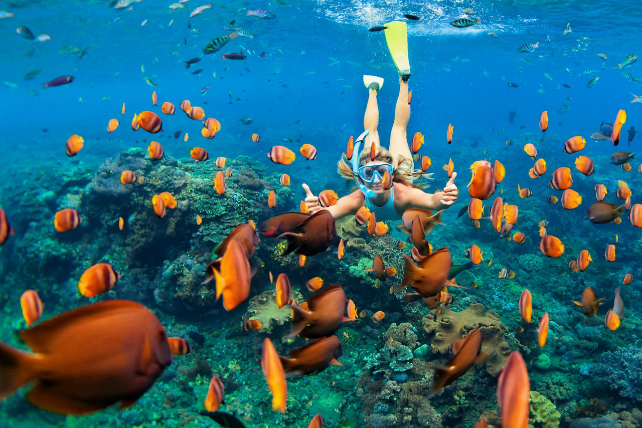 Girl in snorkeling mask dive underwater with tropical fishes in coral reef sea pool