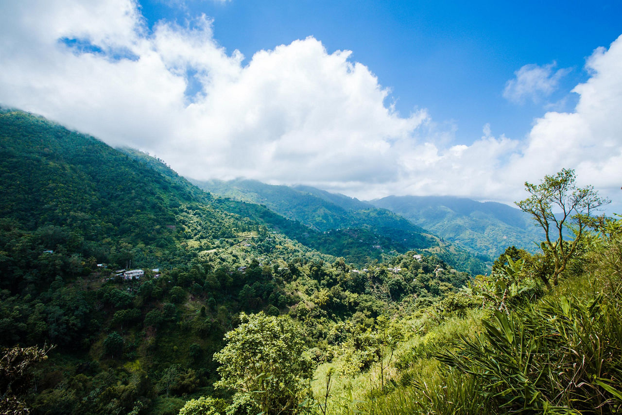 Caribbean Mountains in Jamaica 