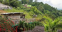 Nile Mile Houses in the Tropical Rainforest 
