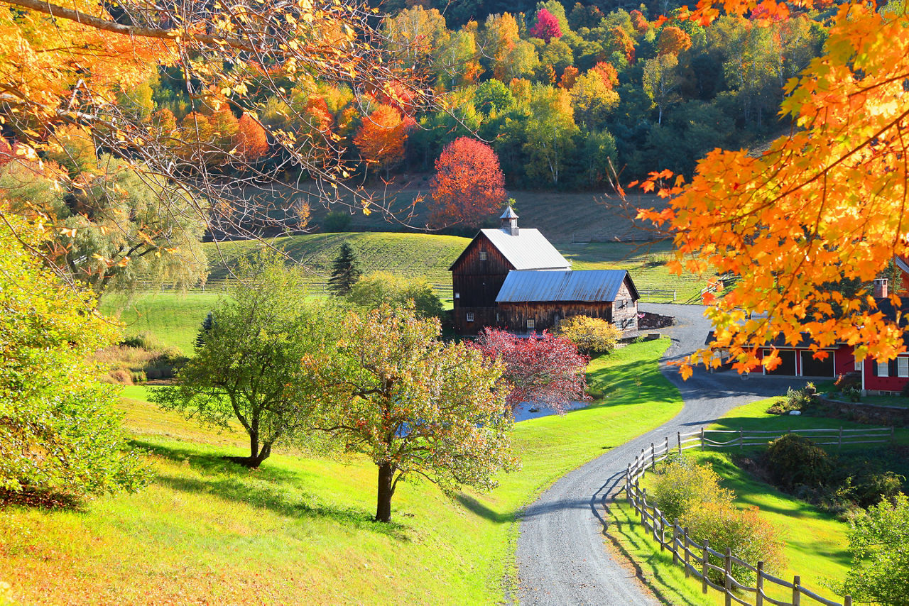 Vermont Woodstock Farm During Fall