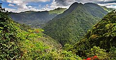Mountains and Jungles in Puerto Rico