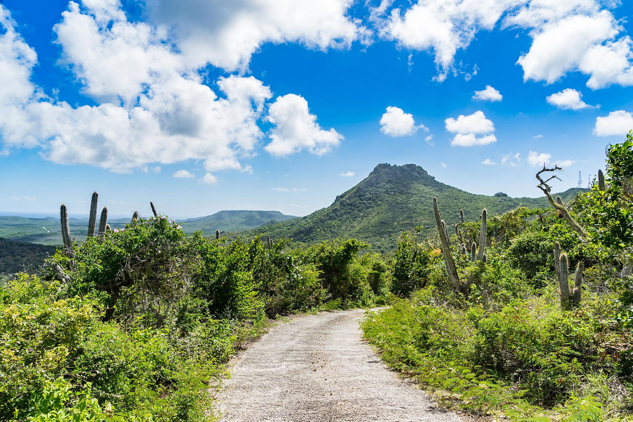 Bike Riding Trails in the Caribbean 
