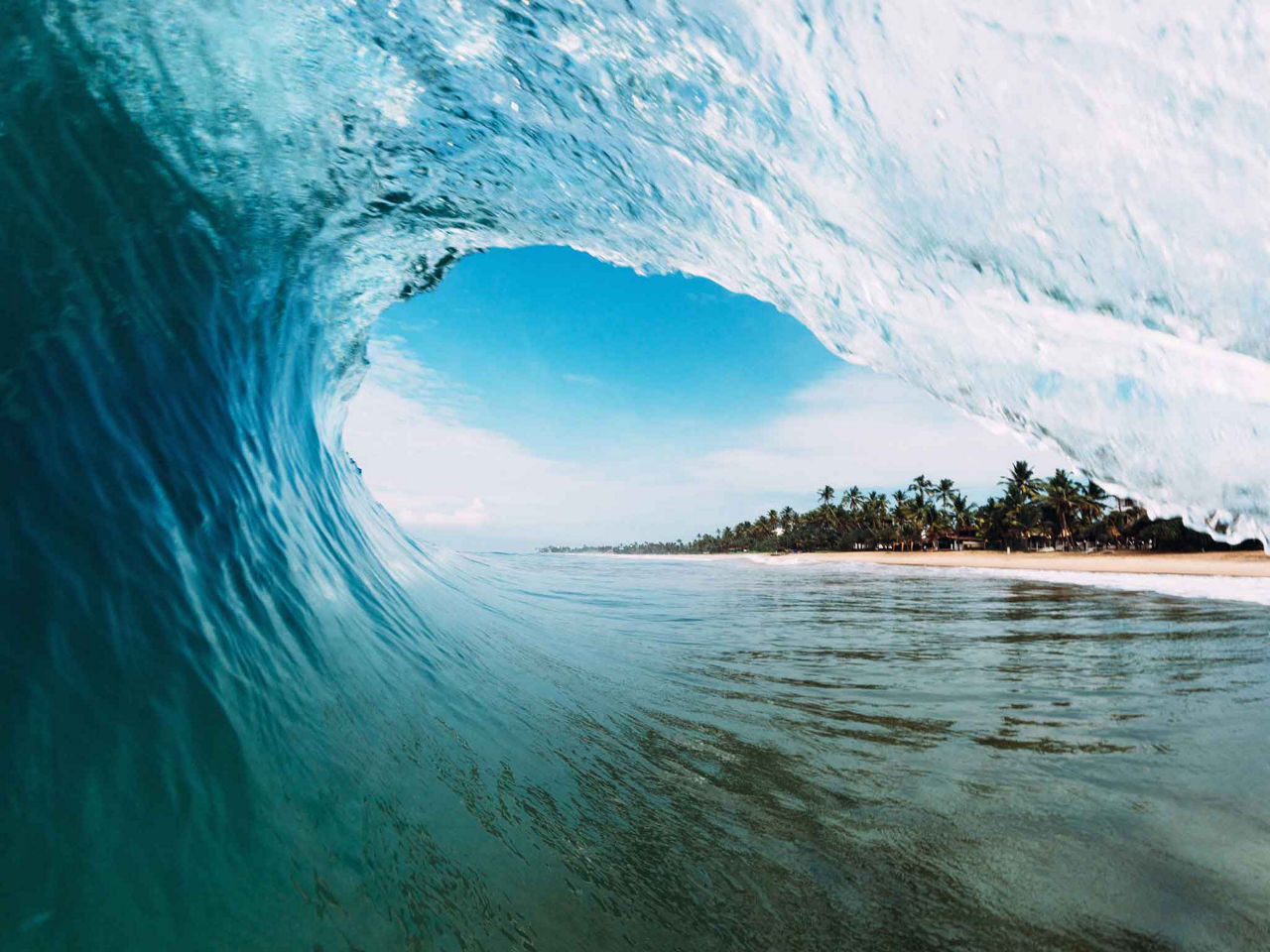 Large Ocean Wave