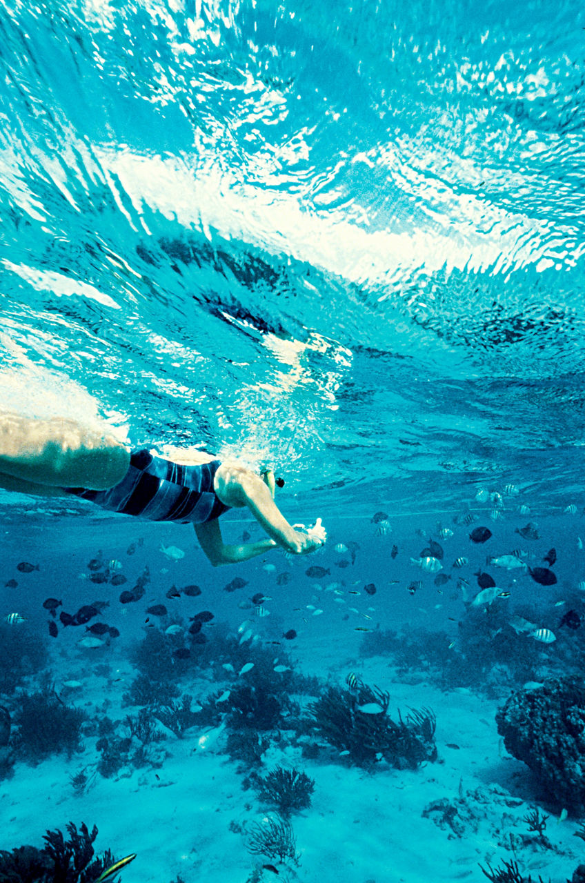 cayman snorkel western caribbean tile3