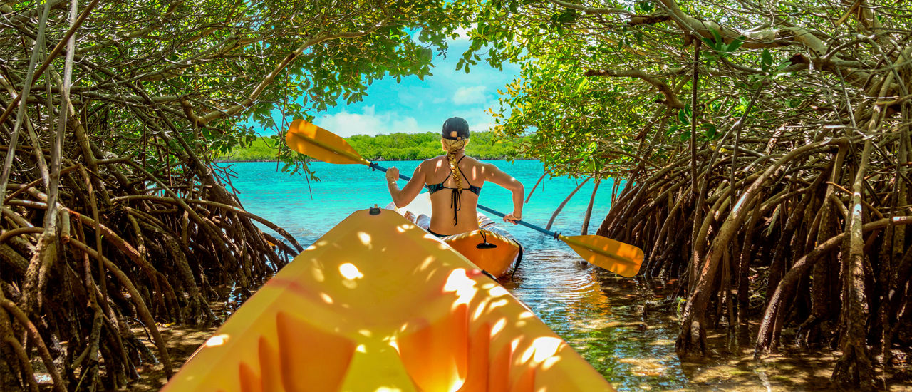 Relax while kayaking through the mangroves at one of Royal Caribbeans amazing beach destinations